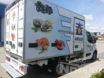 vis transport